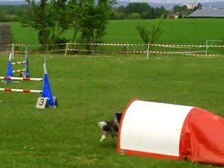 championnat de Lorraine 2011 2ème degré DIXIE