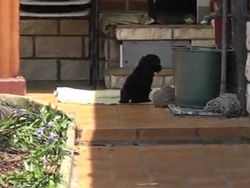 jeux dans le jardin 2