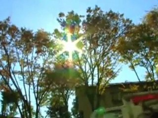 Sur le Chemin du Hajj : Japon [1/2]