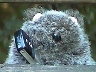 L'Intrus ( court métrage )