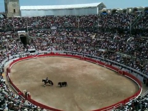Corrida Rejon Arles 2011 - 1