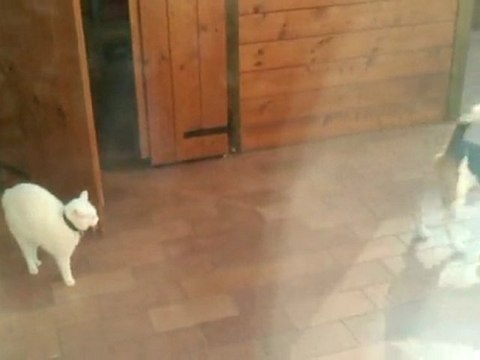 VID 00012-20110425-1702