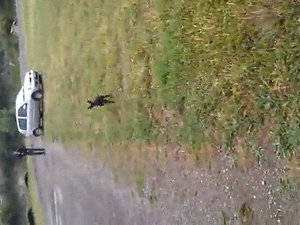 VIDEO0008
