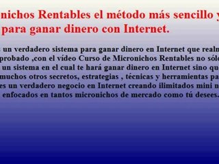 Micronichos Rentables gana mucho dinero con ellos en internet
