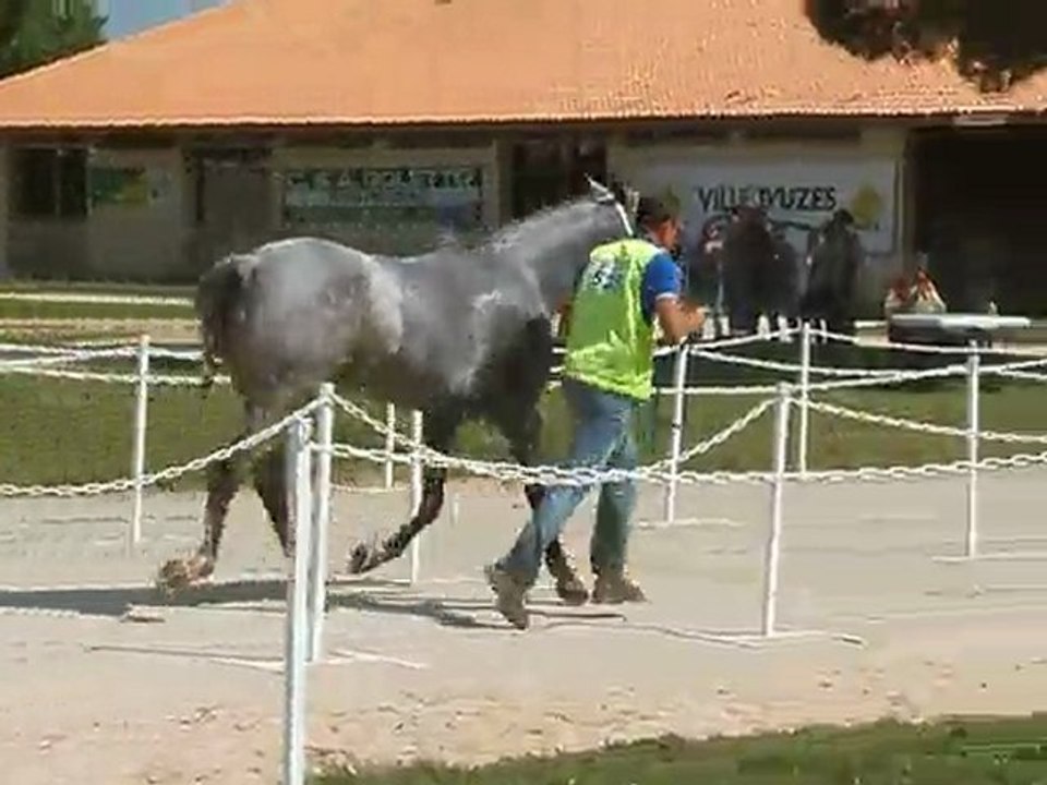 allumez le feu uzes 2011