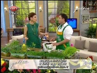 GÜLBEN - Süs Bitkisi Yetiştirmenin Püf Noktaları 1.Bölüm 05.05.11