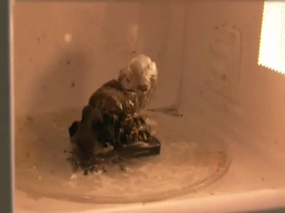 never_put_cellphone_into_microwave