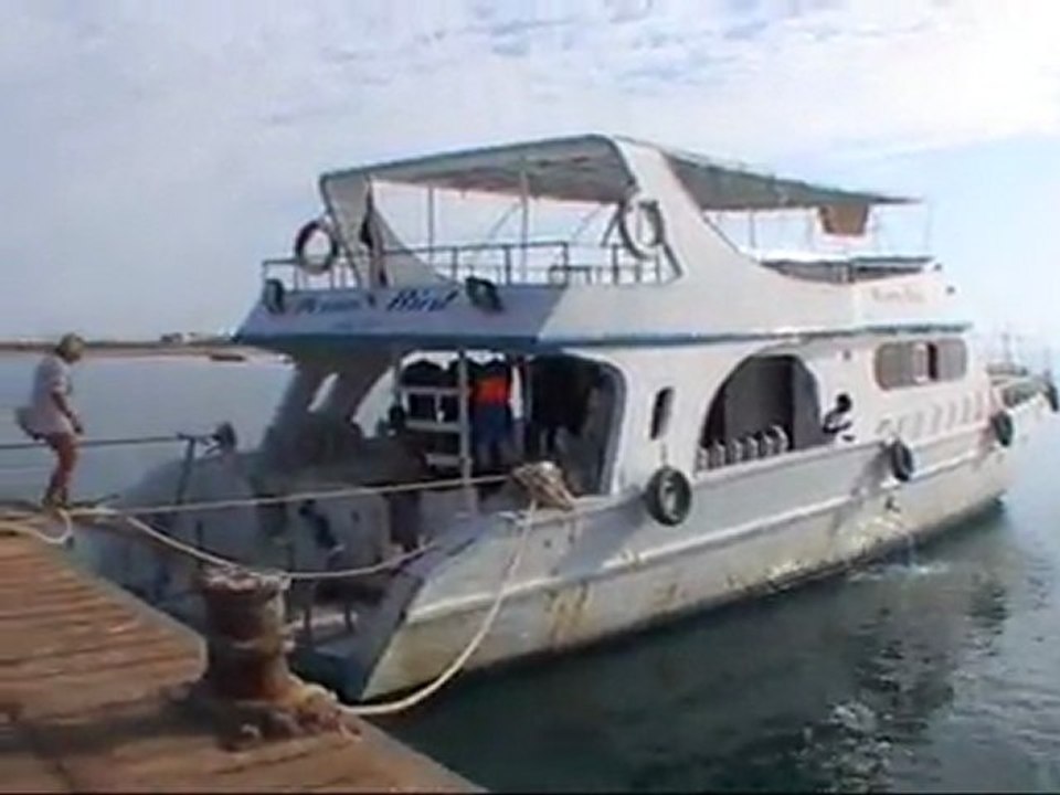 Red Sea diving 2010 Egypt