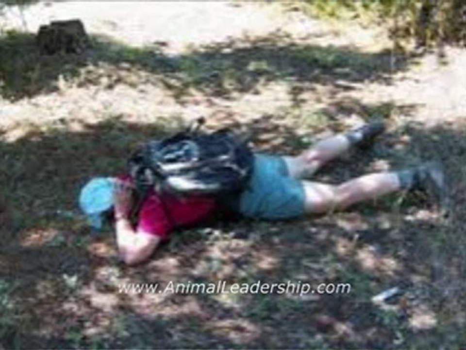 Animal Leadership Chap 1, book by an outdoor leadership speaker