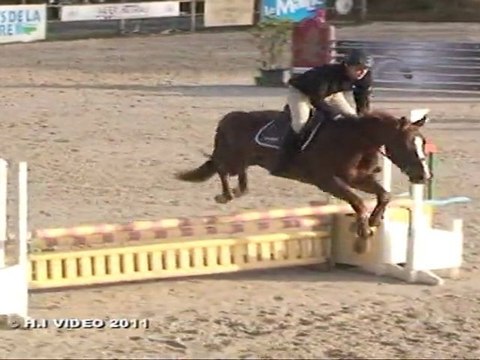 Tango du Bois - 4ans - Le Mans 2011-04-06