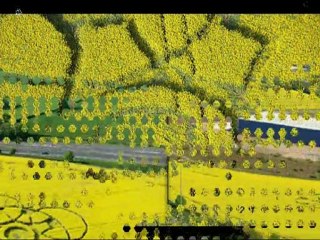 Crop Circle 2011: Innage near Chepstow, Wales, UK 22-Apr-2011