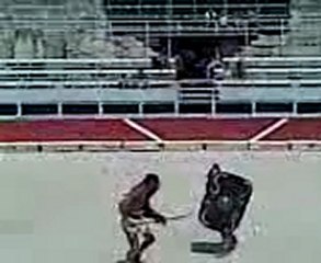 Arènes d'Arles, Rétiaire VS Secutor 13 juillet 2010