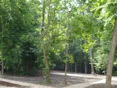 A louer appartement - ST JEAN DE BRAYE (45800) - 64m² - 699