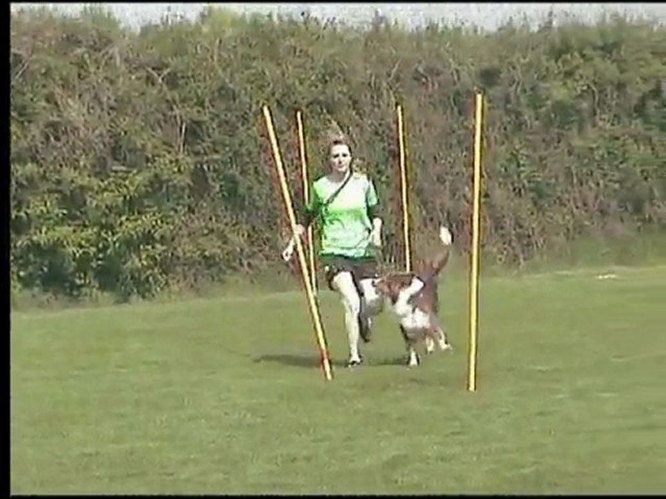 Vierkampfneulußheim