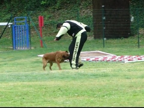 Astek - 2eme sélectif 2011 du groupe 7 Jury C