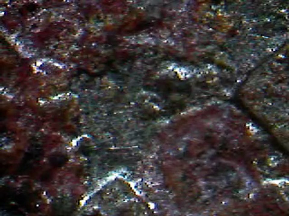 Croix gammé oxydé sur 10 pfenning 1937A au microscope