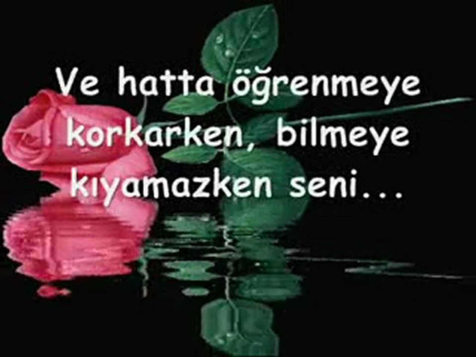 Ben Seni Görmeden Sevdim