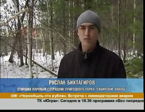 В парке Сибирские увалы обнаружены странные дыры в земле.(Strangeworlds.at.ua)