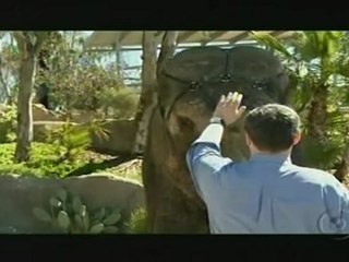 Entrevista de Robert no Fantástico sobre o filme Água para Elefantes