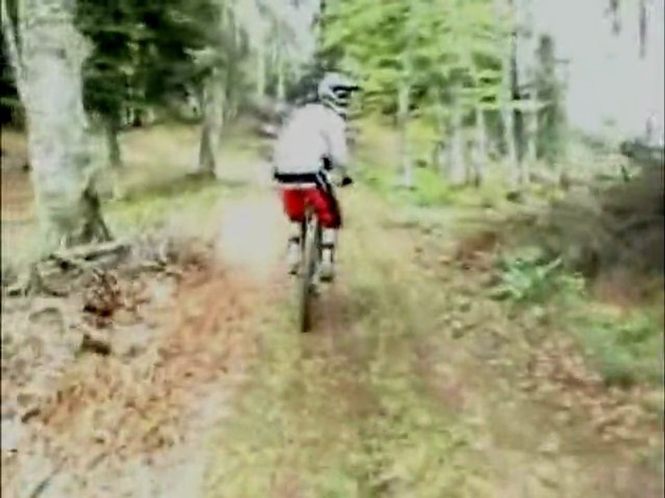 Woods riders // le Mourtis