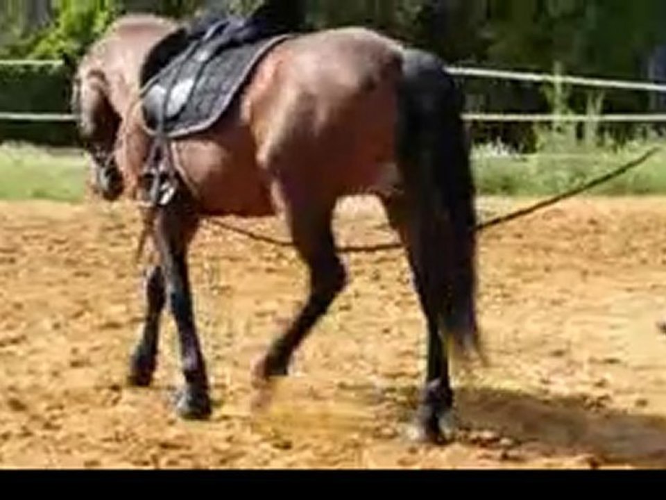 Artista, longe 26/04