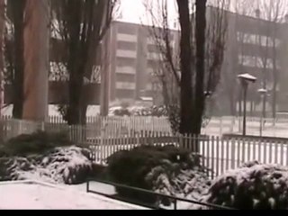 Neve a Desio 5/02/2010