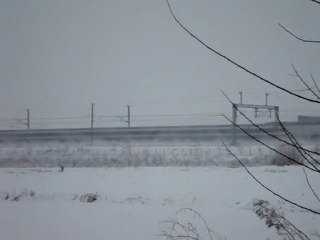 Nevicata del 6 gennaio 2009