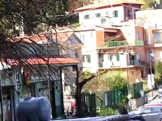 neve a san martino delle scale