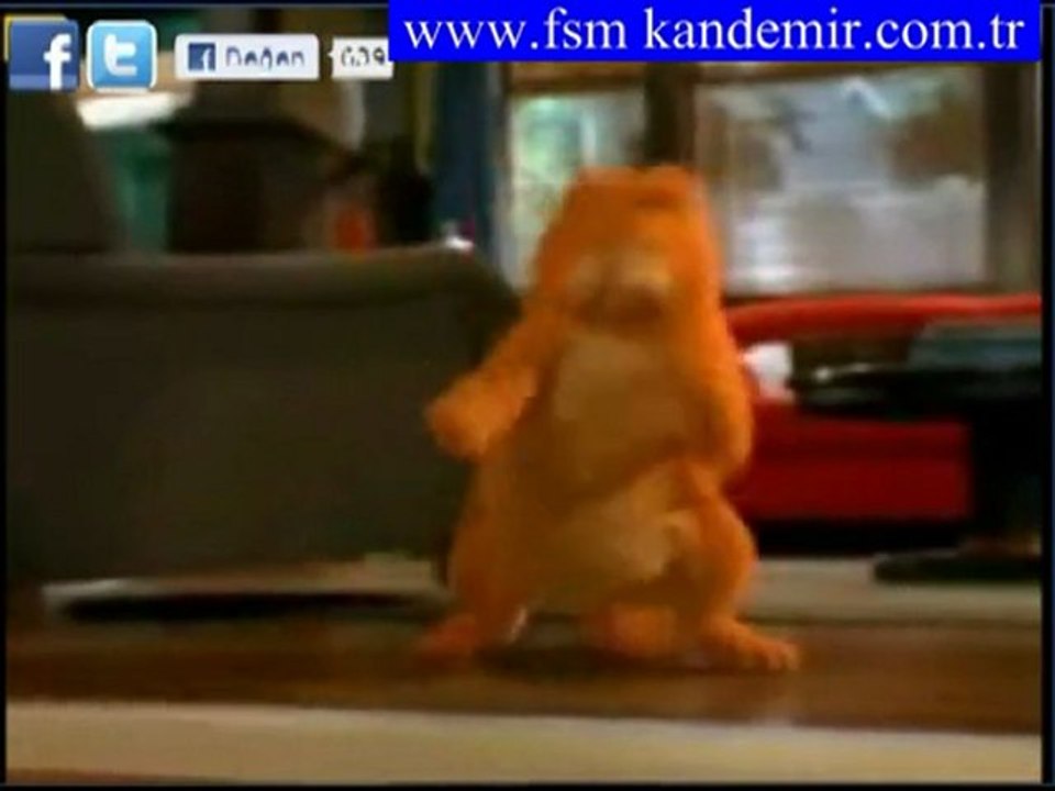 garfiyılt apaçi dansını izle