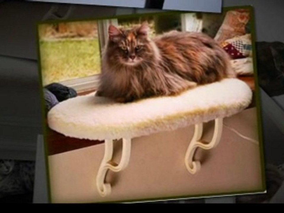 Cat Window Perch