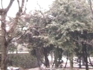 Neve Desio Marzo 2010