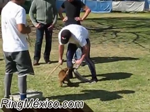Ring México - Técnicas de Ring Francés con Marc Villain, México 2009