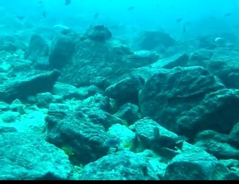 Malawi Gölü Cikletlerin Dünyası