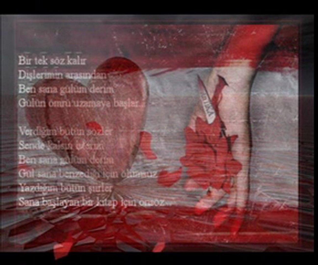 Seni Sevdim Olum Bile Ayiramadi Dailymotion Video