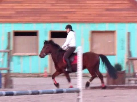 Cours de Saut !!! (GROS Oxer n°2)