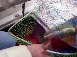 balaban terkos turna avı 1