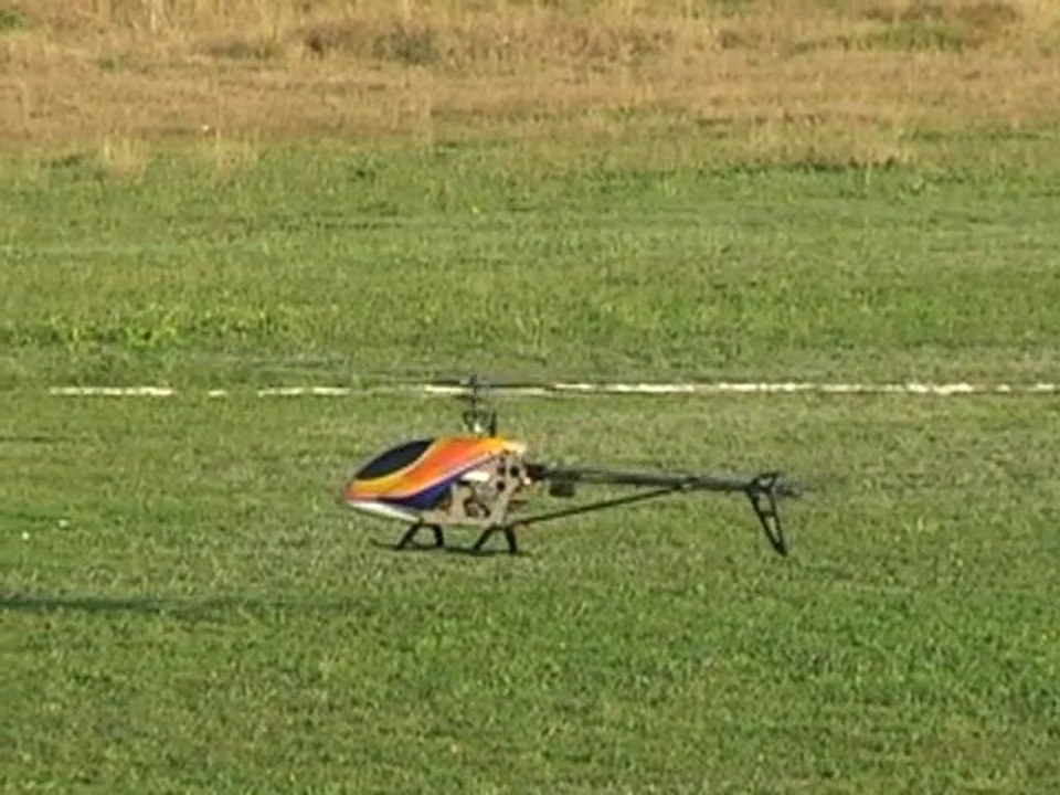 TREX-600 3D Flight II