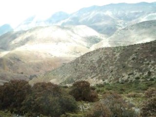 Montaña 3200 m. San Luis Potosi.