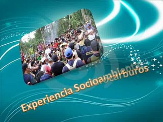 walter martin pachas moore