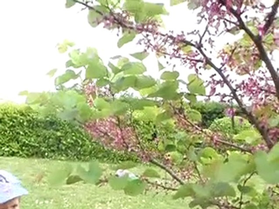 Chasse aux oeufs de Pâques 2011