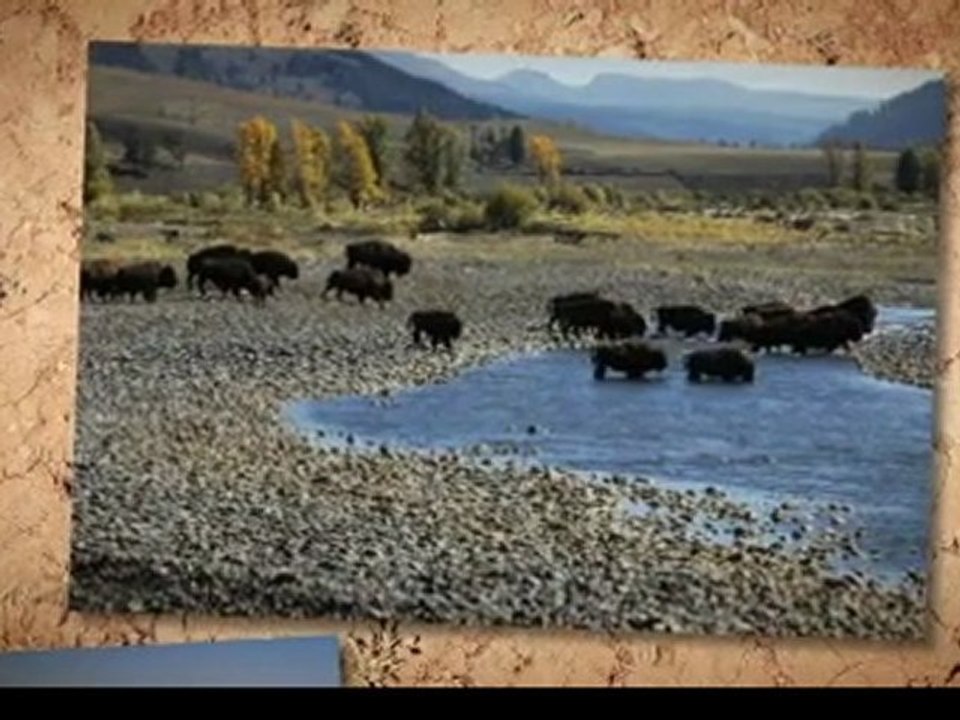 What Arches National Park Utah Offers