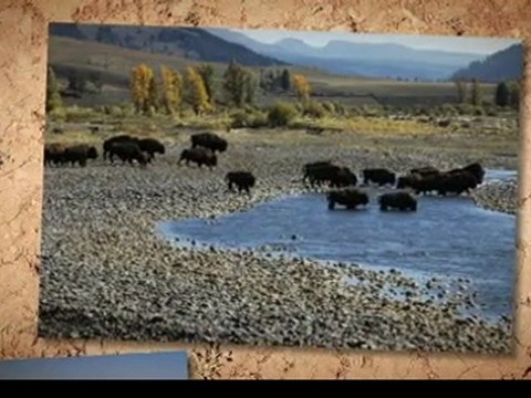 What Arches National Park Utah Offers