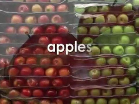 Cours d'anglais pour debutant