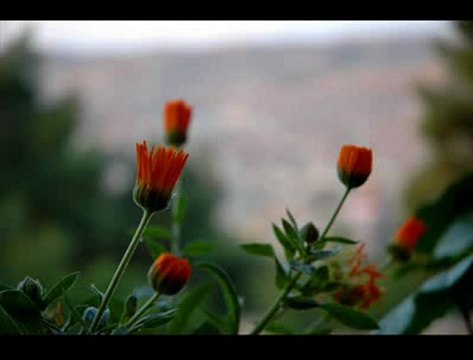 Beat by siirtli maraz 20113