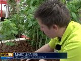 Chaleur : des conseils pour un jardin fleuri