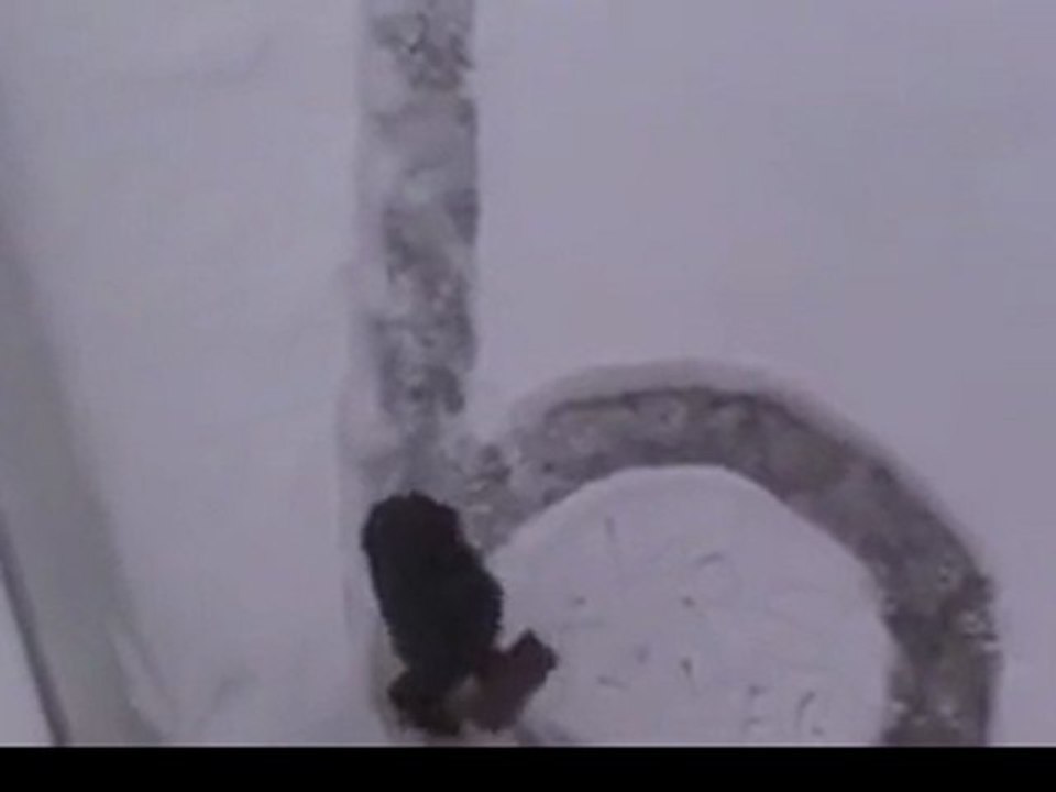 Zekice bir kamera şakası