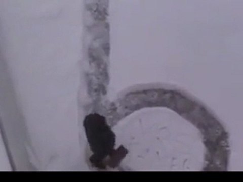 Zekice bir kamera şakası