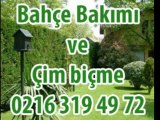 Anadolukavağı Bahçe Bakımı - 0216 319 49 72 - Ağaç Budama ve Bahçe Bakımı