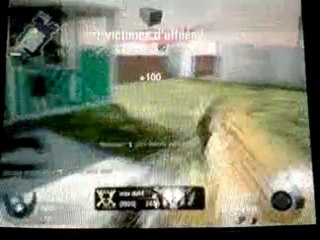 bug call of duty by bloodhell94 (3)