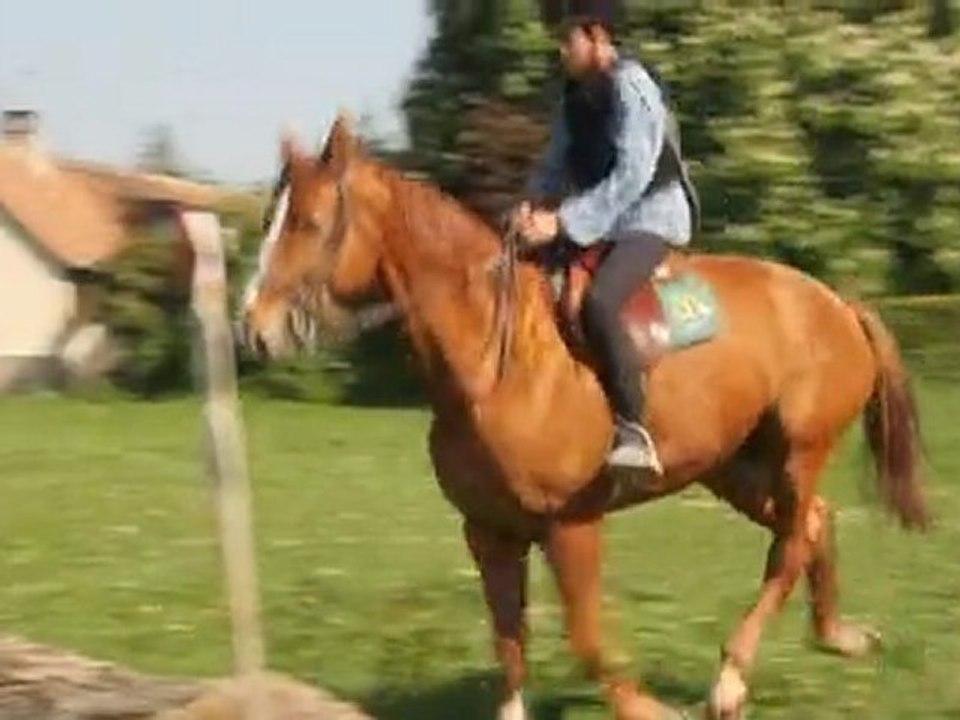 coursCross2011-01